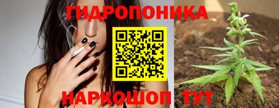 спиды Малгобек