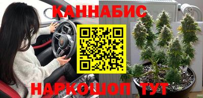 сатива Малоярославец